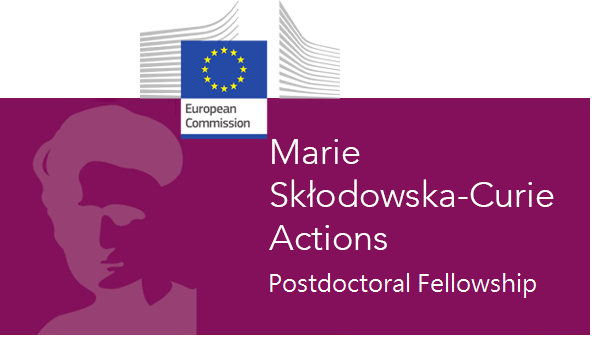 Pf msca